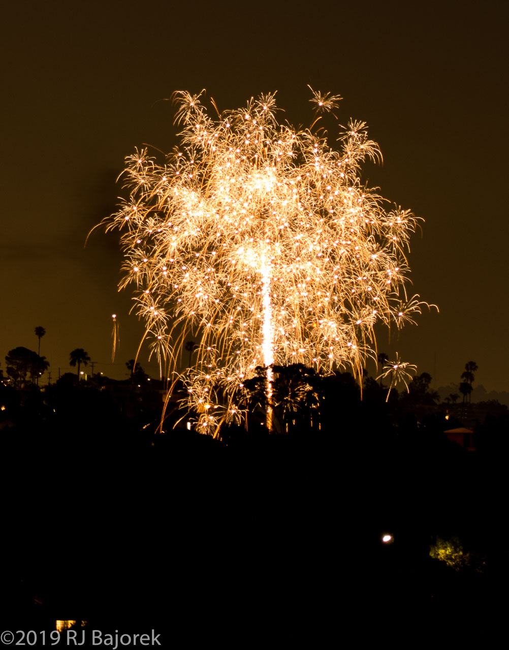 July4th2019-313